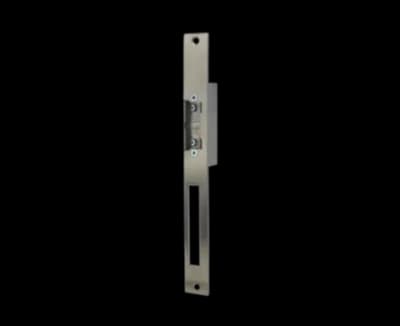 Gâche électrique pour systèmes de porte en ACIER 12V